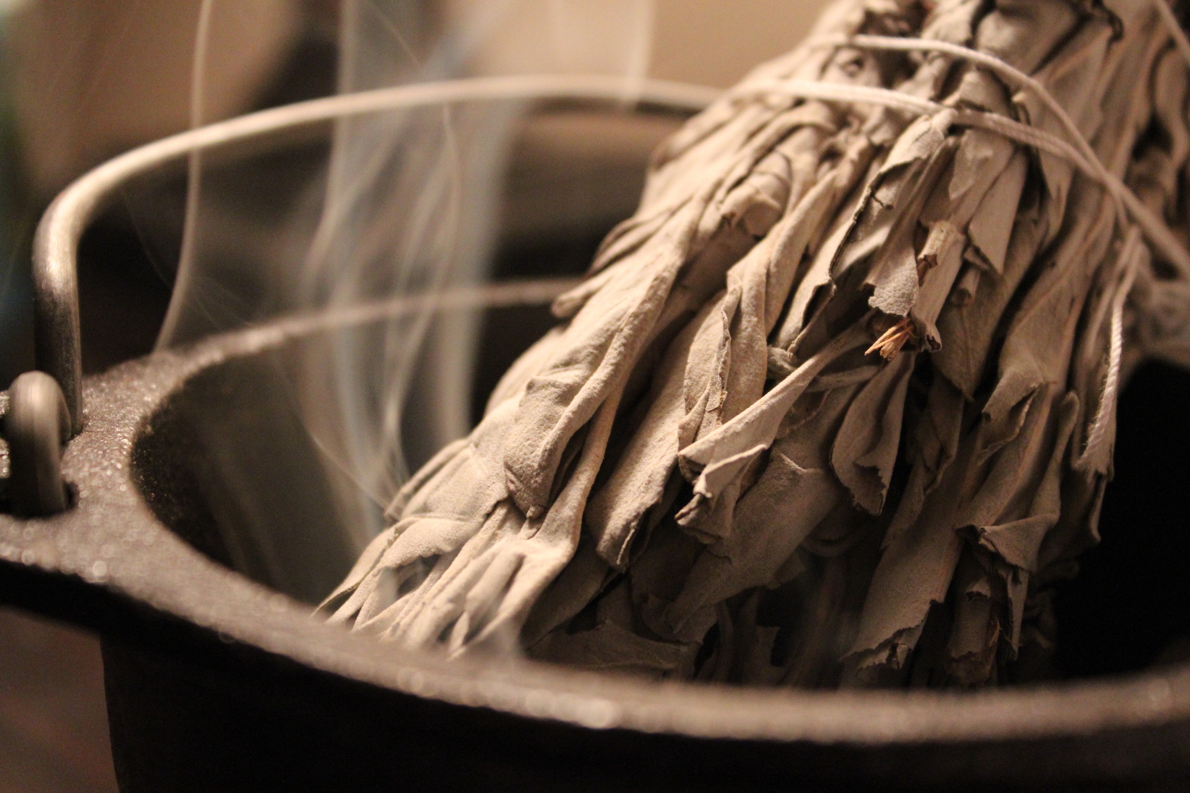 Cleanse Your Home With White Sage